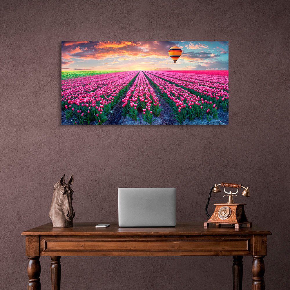 A field of pink tulips against the backdrop of dawn and a hot air balloon Canvas Wall Art Print