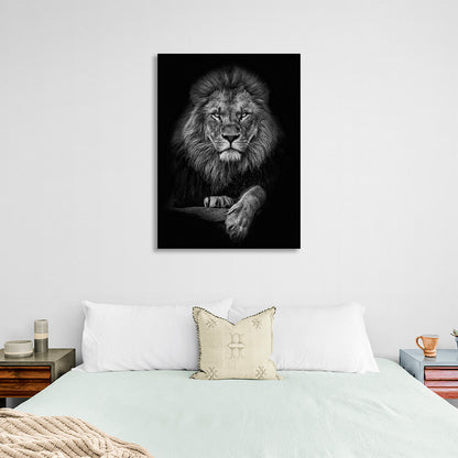 Lion on a black background Canvas Wall Art Print