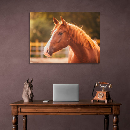 A horse in the sunlight Canvas Wall Art Print