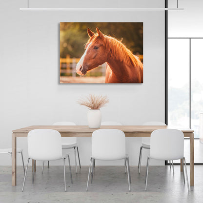 A horse in the sunlight Canvas Wall Art Print