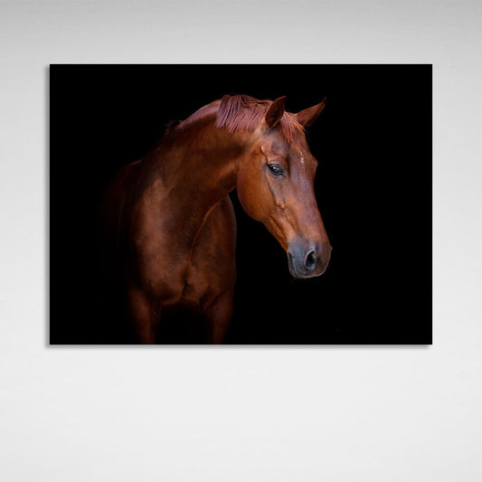 Brown horse on black background Canvas Wall Art Print