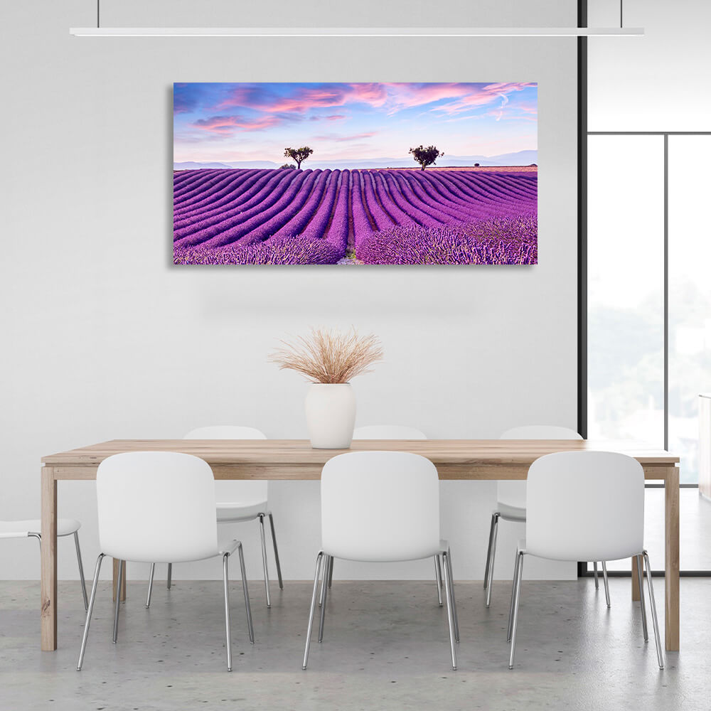 Lavender field in purple flowers Canvas Wall Art Print