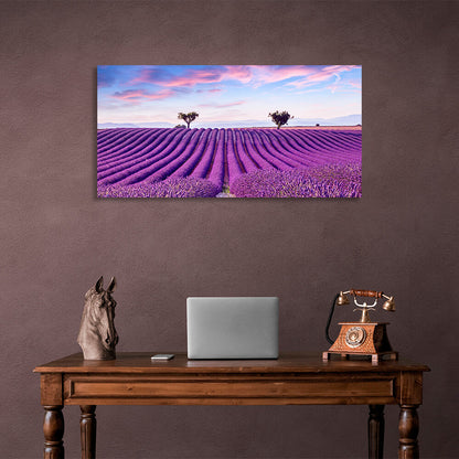 Lavender field in purple flowers Canvas Wall Art Print