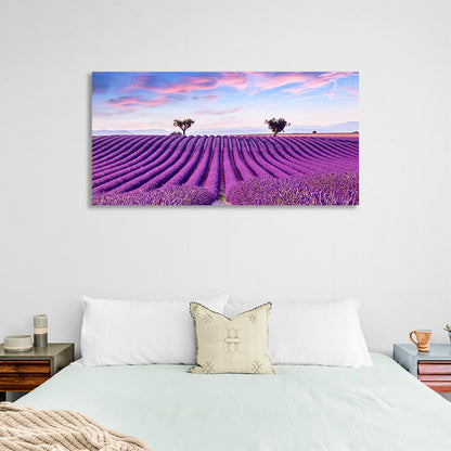 Lavender field in purple flowers Canvas Wall Art Print