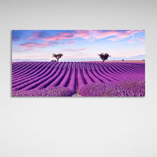 Lavender field in purple flowers Canvas Wall Art Print