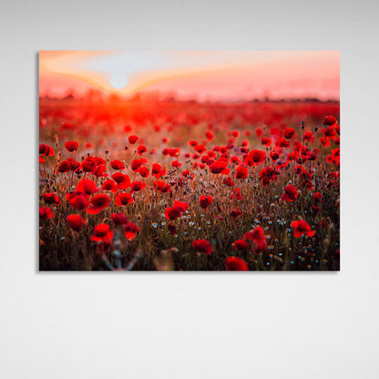 A field of red poppies at dawn Canvas Wall Art Print