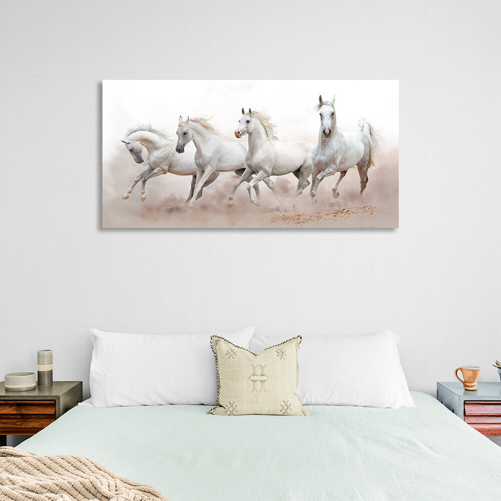 4 white horses running on sand on white background Canvas Wall Art Print