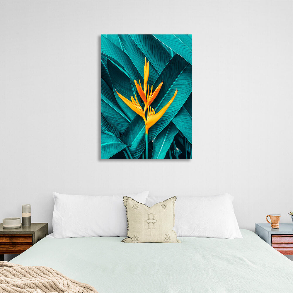 Yellow heliconia against its own green leaves Canvas Wall Art Print