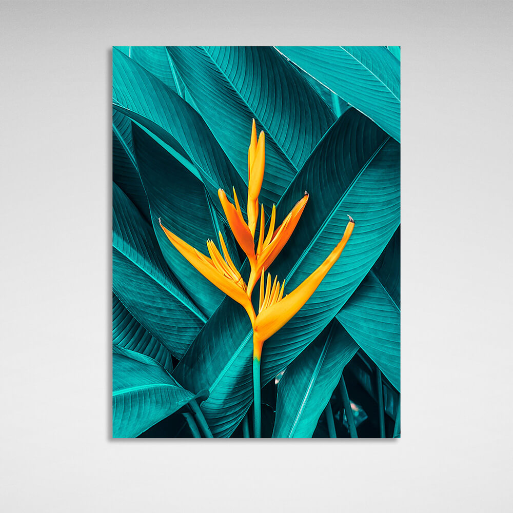 Yellow heliconia against its own green leaves Canvas Wall Art Print