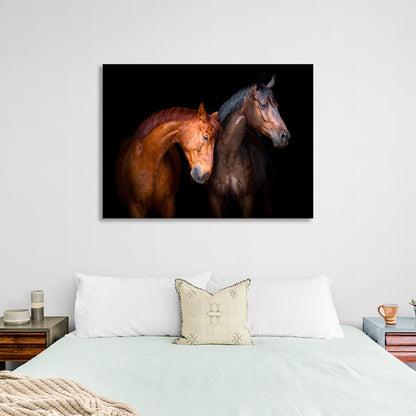 Light and dark brown horses on a black background Canvas Wall Art Print