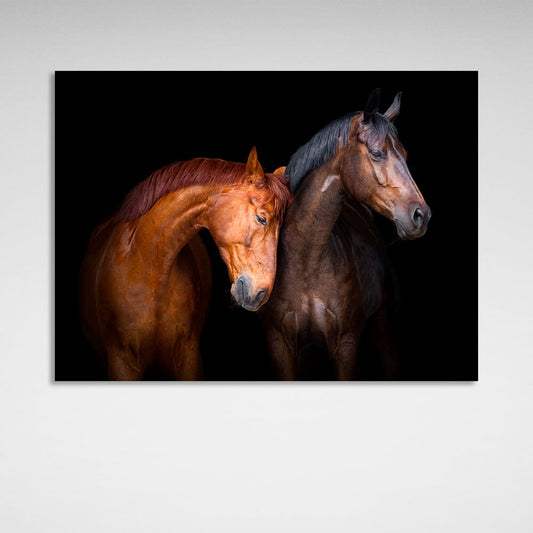 Light and dark brown horses on a black background Canvas Wall Art Print