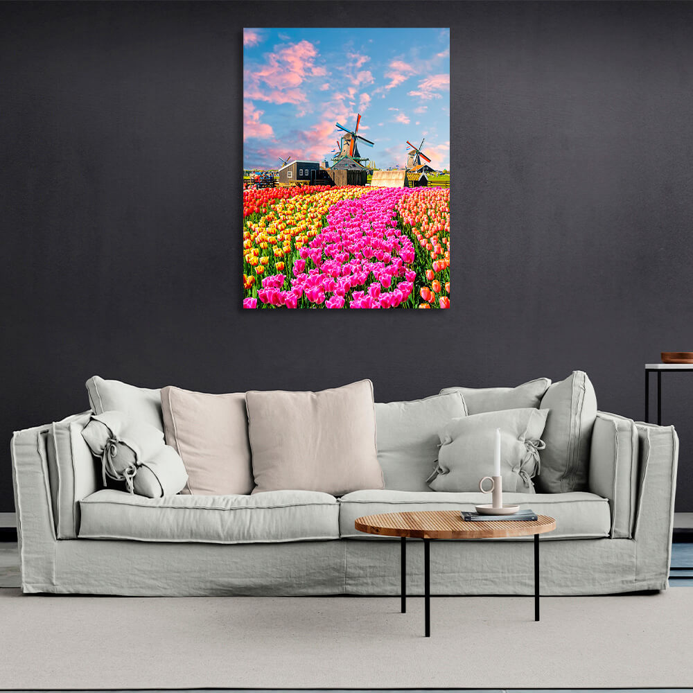 A field of tulips near the mill houses. Canvas Wall Art Print