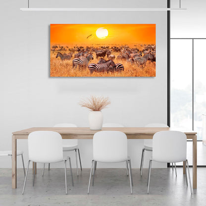 Huge herd of zebras in a dry pasture against the sunset background Canvas Wall Art Print