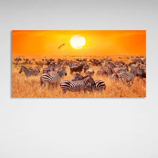 Huge herd of zebras in a dry pasture against the sunset background Canvas Wall Art Print