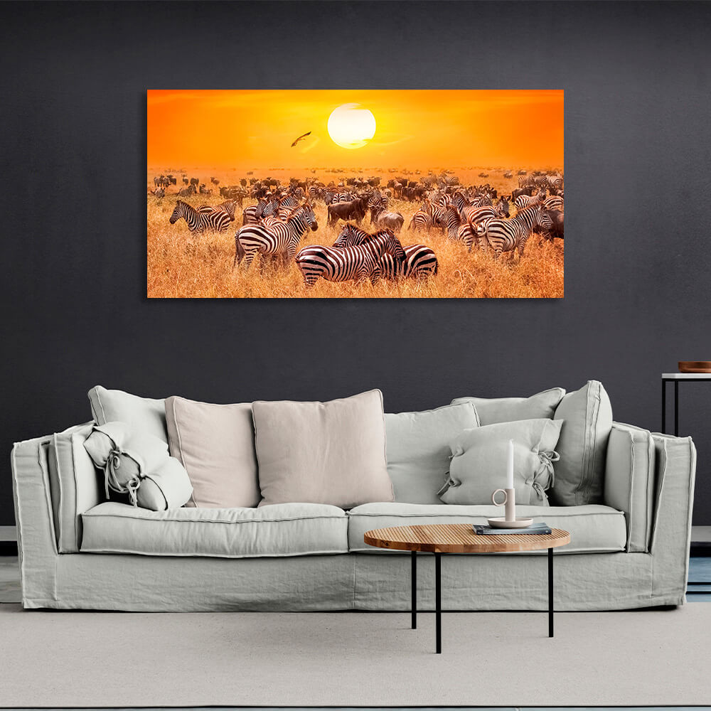 Huge herd of zebras in a dry pasture against the sunset background Canvas Wall Art Print