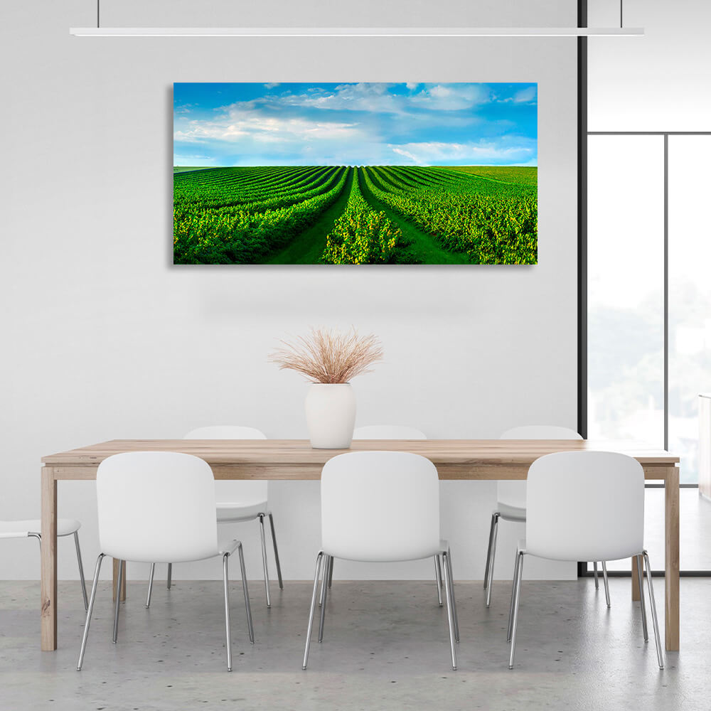 A field of green bushes against a blue sky with white clouds Canvas Wall Art Print