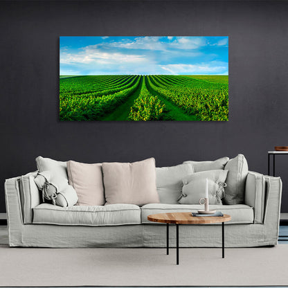 A field of green bushes against a blue sky with white clouds Canvas Wall Art Print