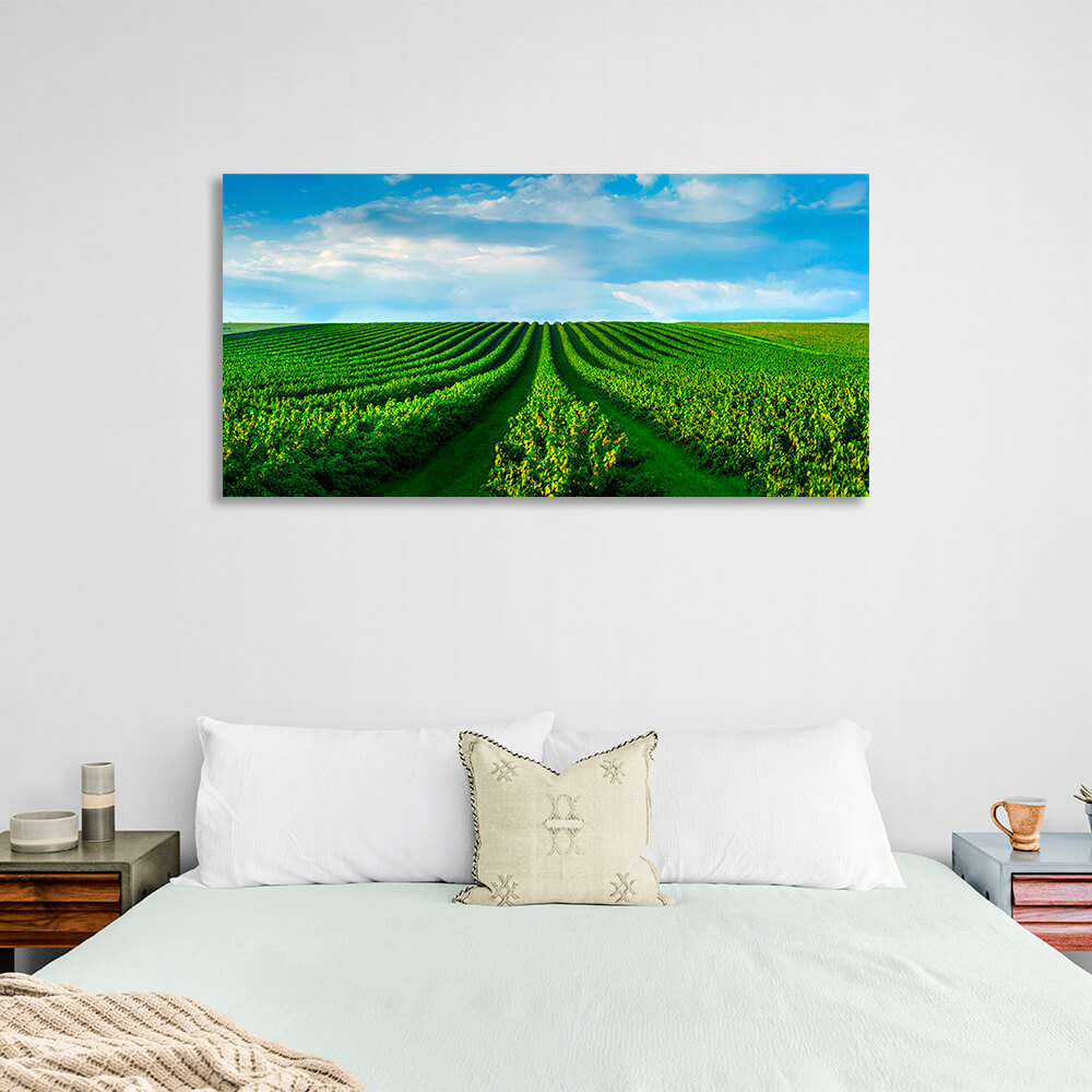 A field of green bushes against a blue sky with white clouds Canvas Wall Art Print