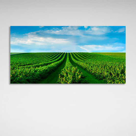 A field of green bushes against a blue sky with white clouds Canvas Wall Art Print