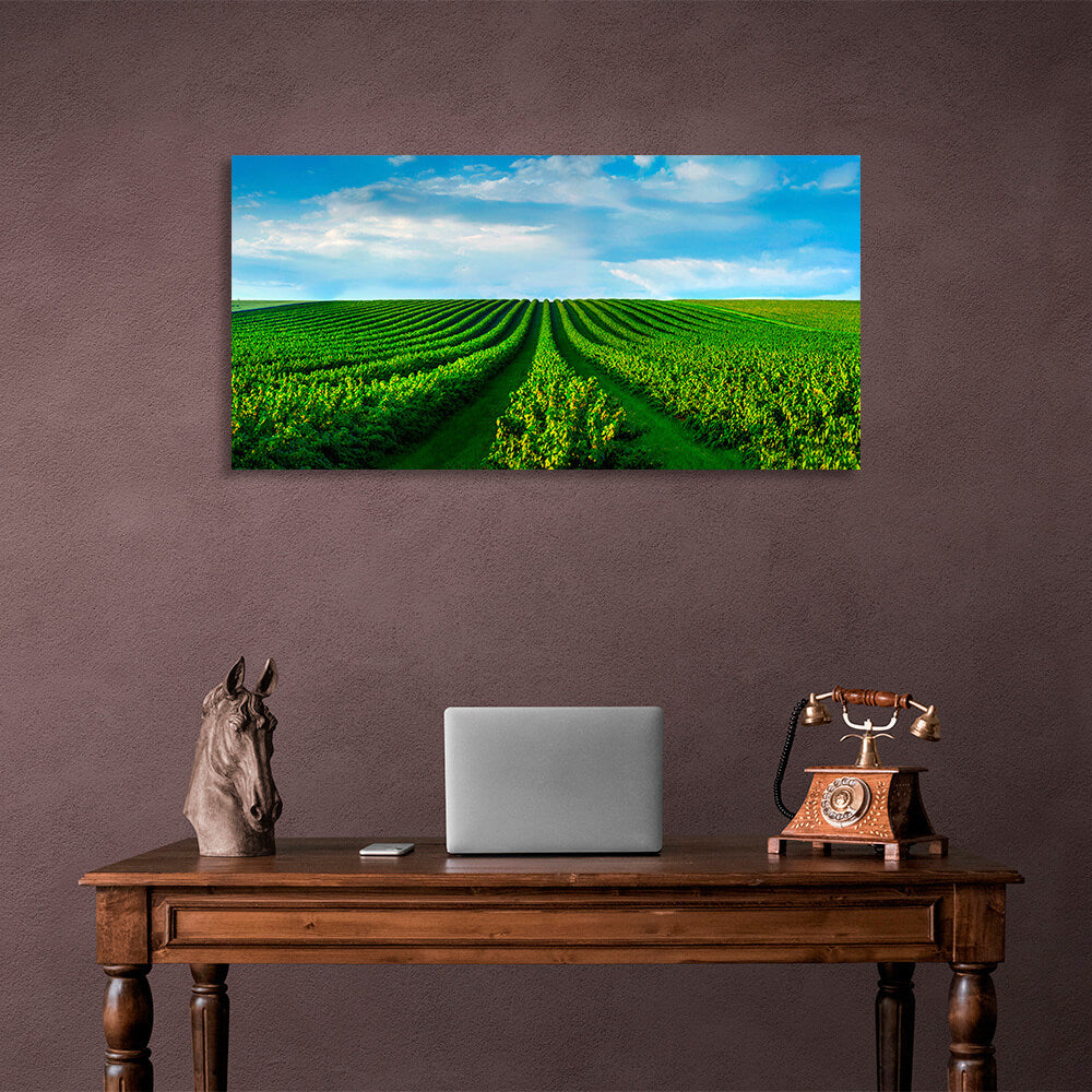 A field of green bushes against a blue sky with white clouds Canvas Wall Art Print