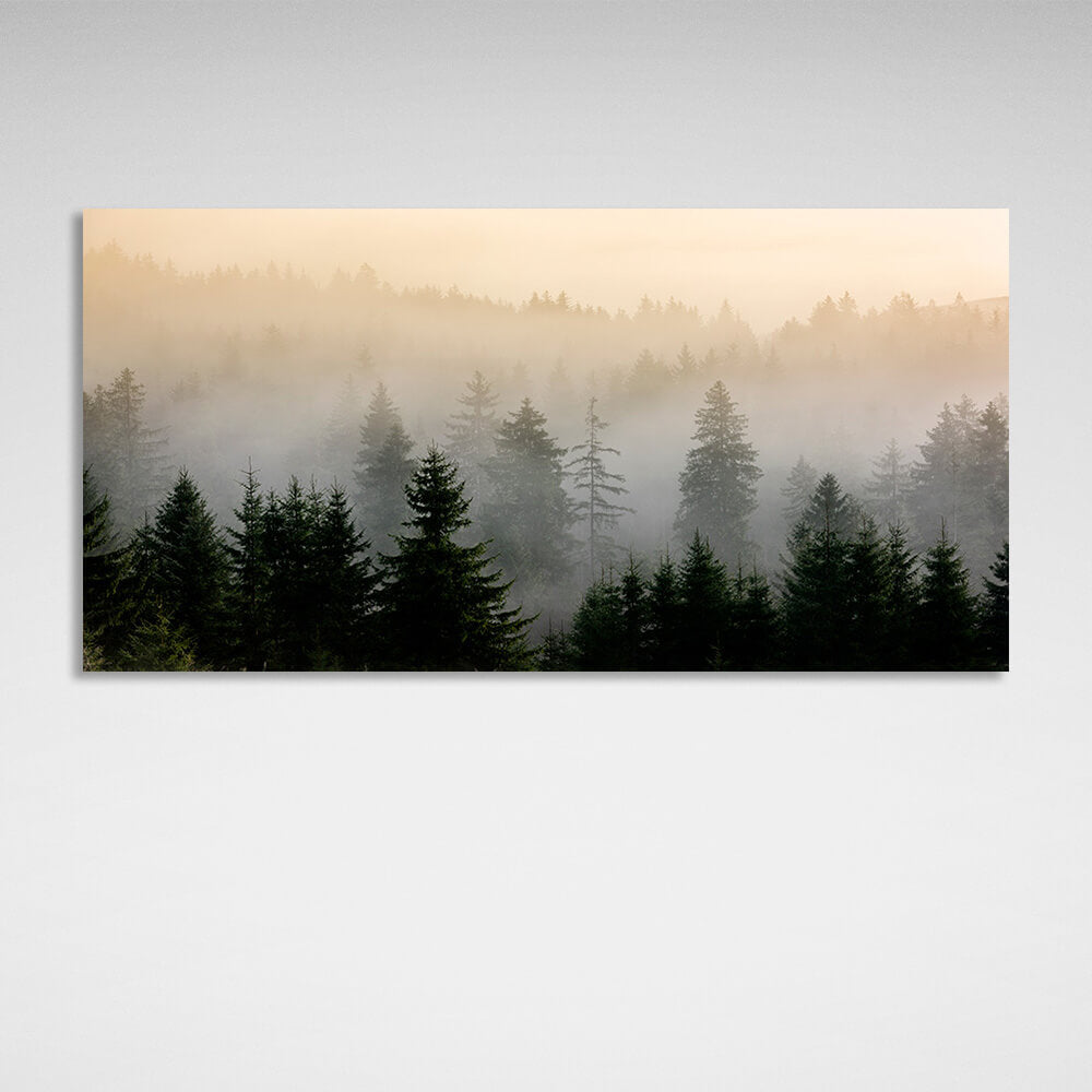 A misty forest of Christmas trees Canvas Wall Art Print