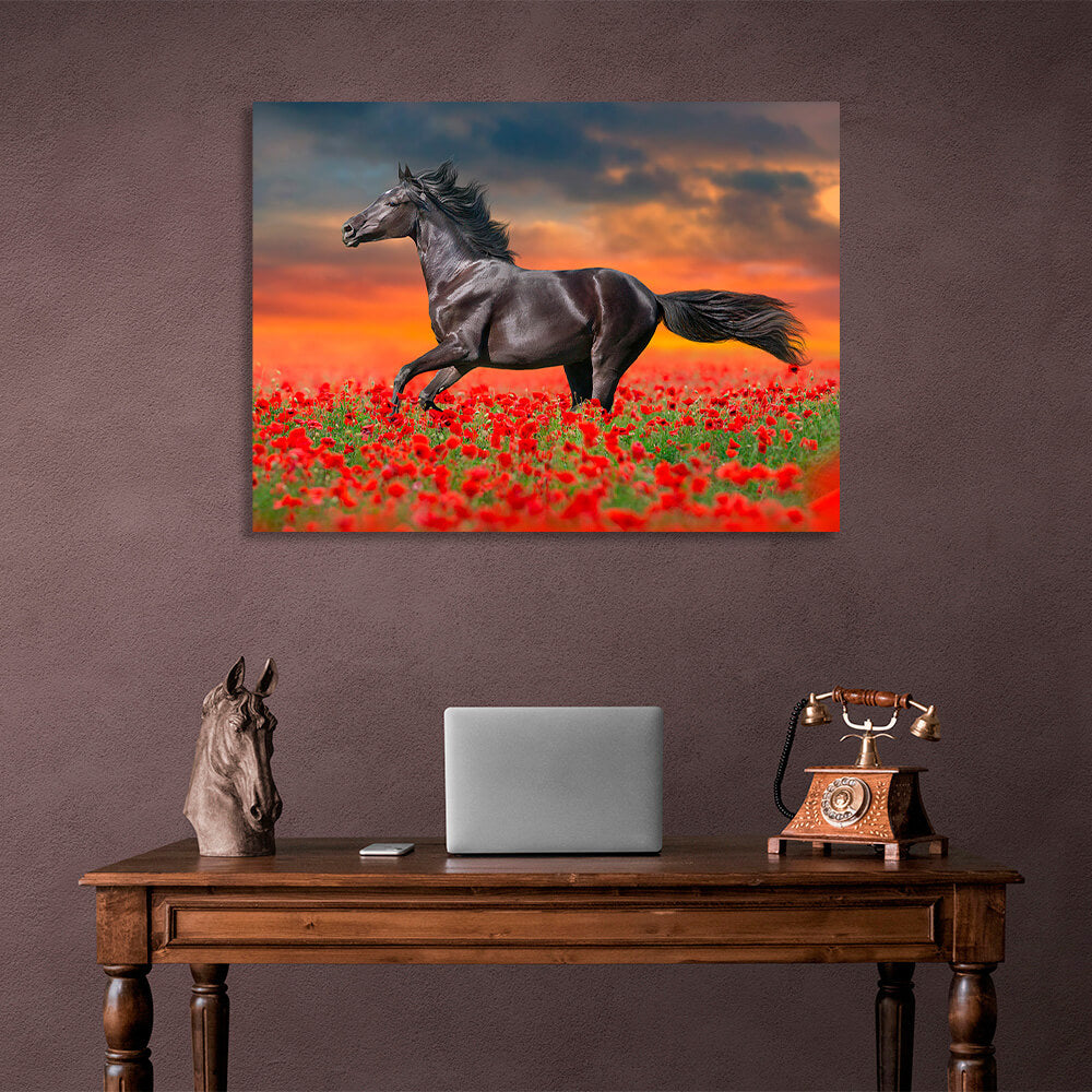 A dark brown horse in a field of red poppies Canvas Wall Art Print