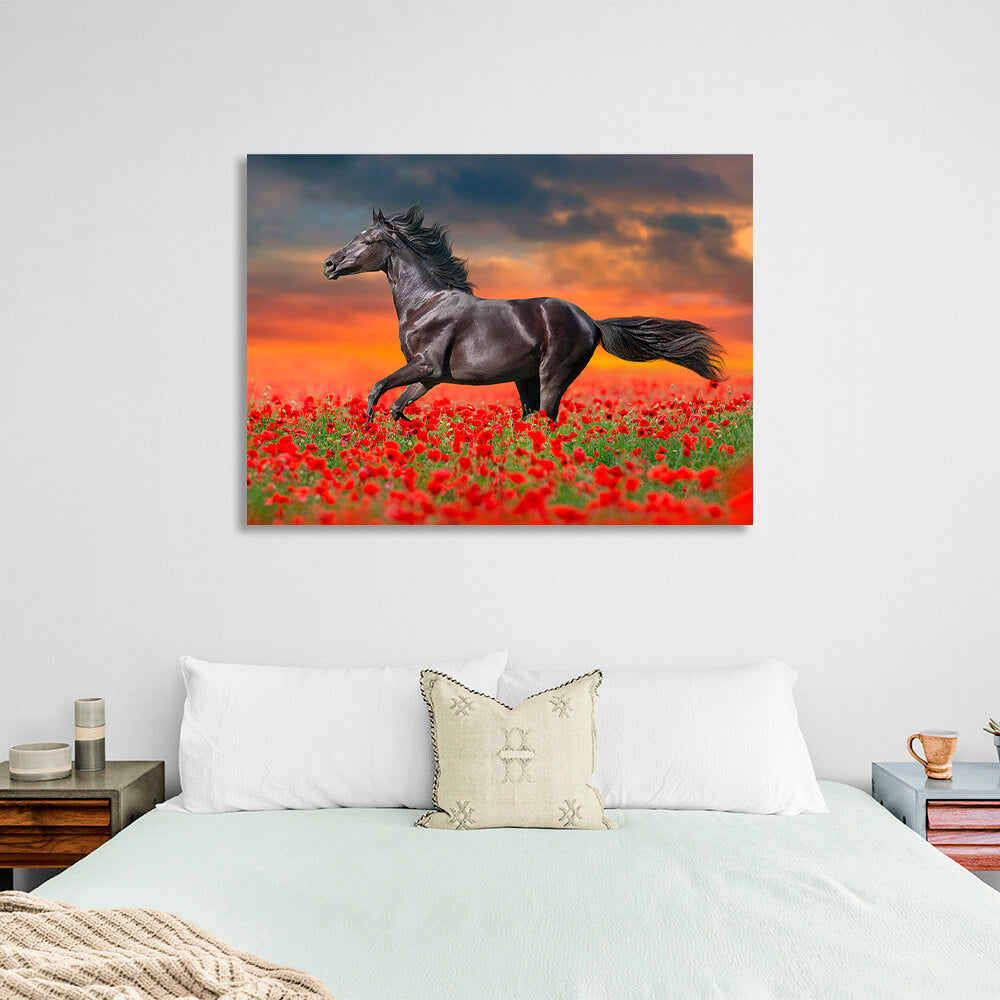 A dark brown horse in a field of red poppies Canvas Wall Art Print