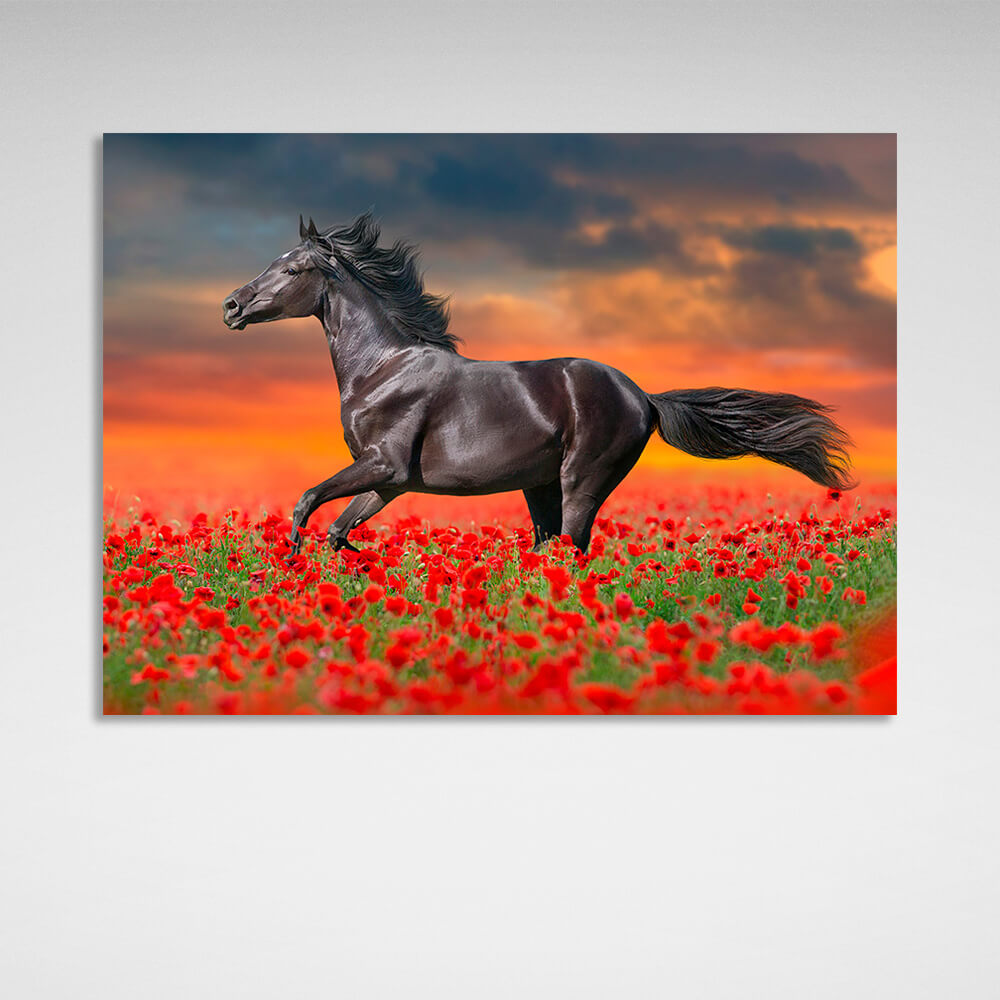 A dark brown horse in a field of red poppies Canvas Wall Art Print