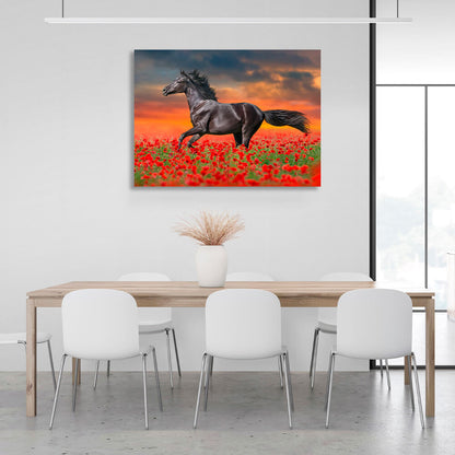 A dark brown horse in a field of red poppies Canvas Wall Art Print