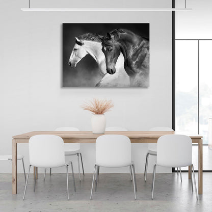 A black and white horse on a black dusty background Canvas Wall Art Print