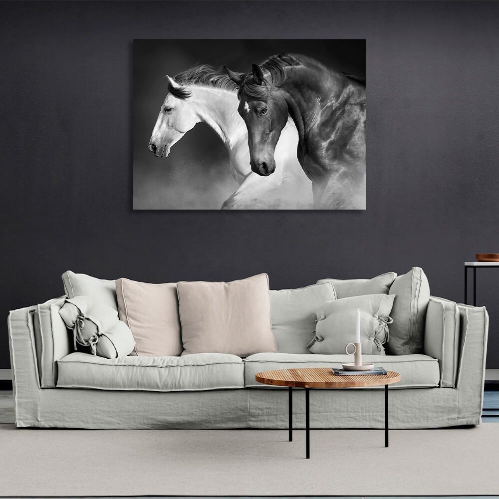 A black and white horse on a black dusty background Canvas Wall Art Print