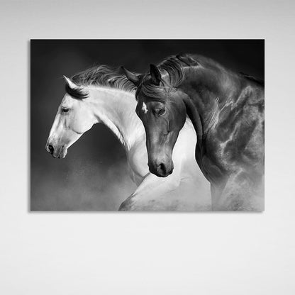 A black and white horse on a black dusty background Canvas Wall Art Print