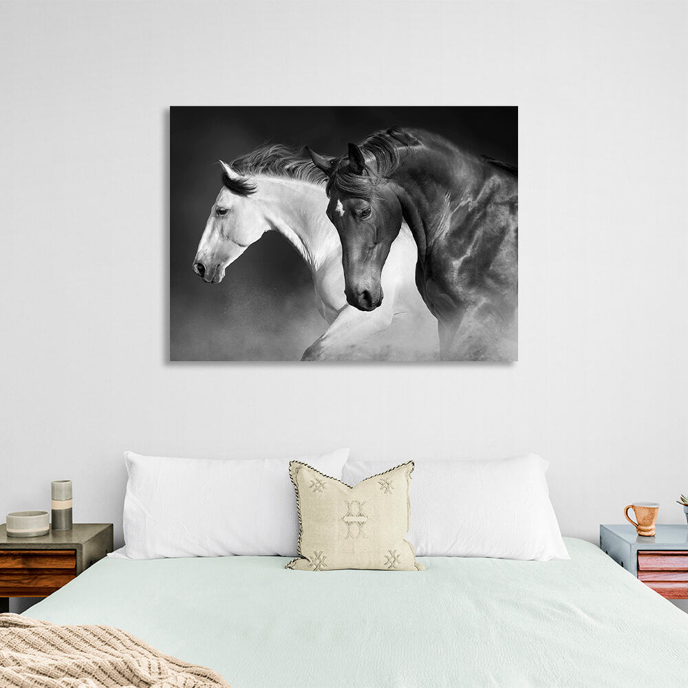 A black and white horse on a black dusty background Canvas Wall Art Print