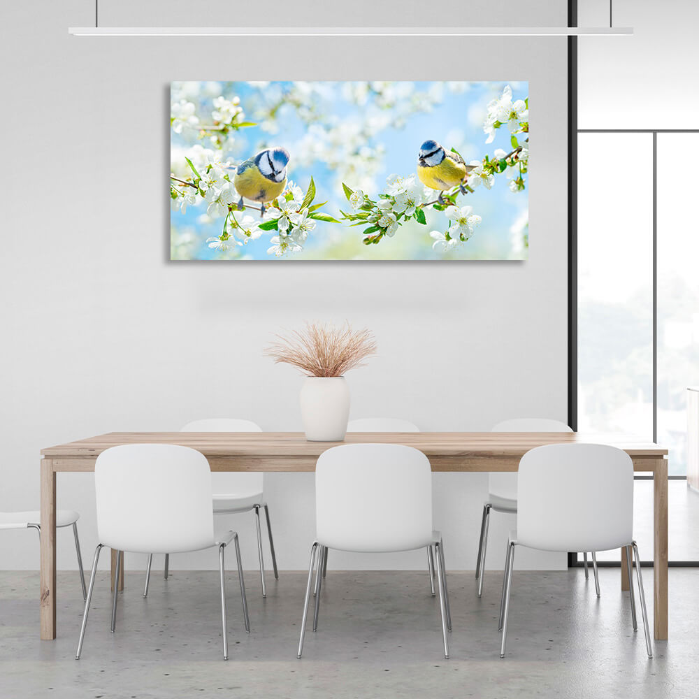 2 spring tits on twigs with white flowers Canvas Wall Art Print