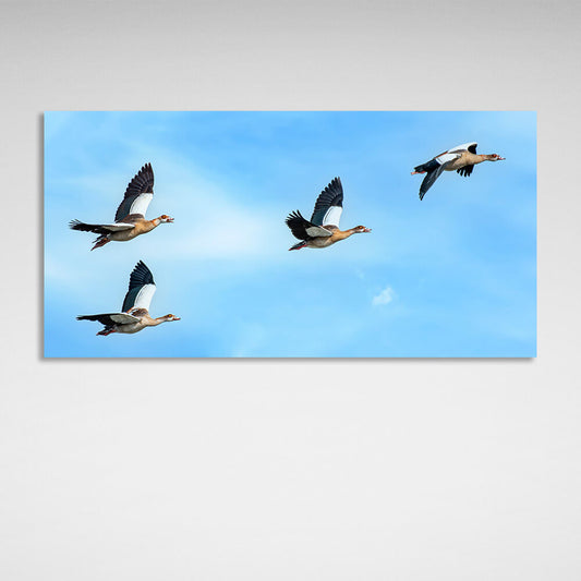 4 birds in a blue sky Canvas Wall Art Print