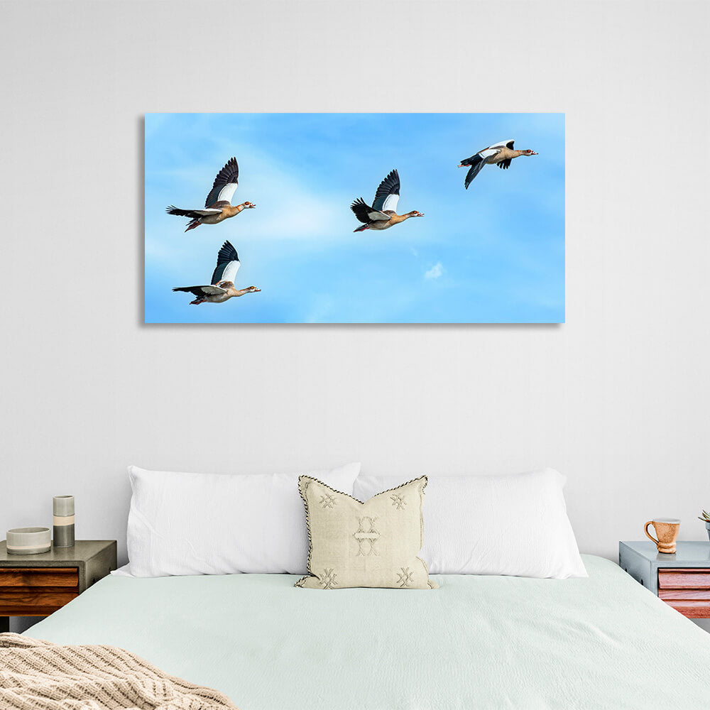 4 birds in a blue sky Canvas Wall Art Print