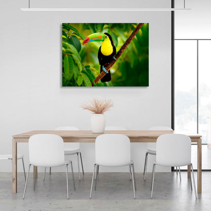 A toucan on a branch in the forest Canvas Wall Art Print