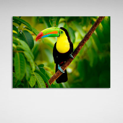 A toucan on a branch in the forest Canvas Wall Art Print