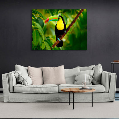 A toucan on a branch in the forest Canvas Wall Art Print