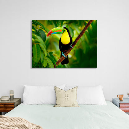 A toucan on a branch in the forest Canvas Wall Art Print