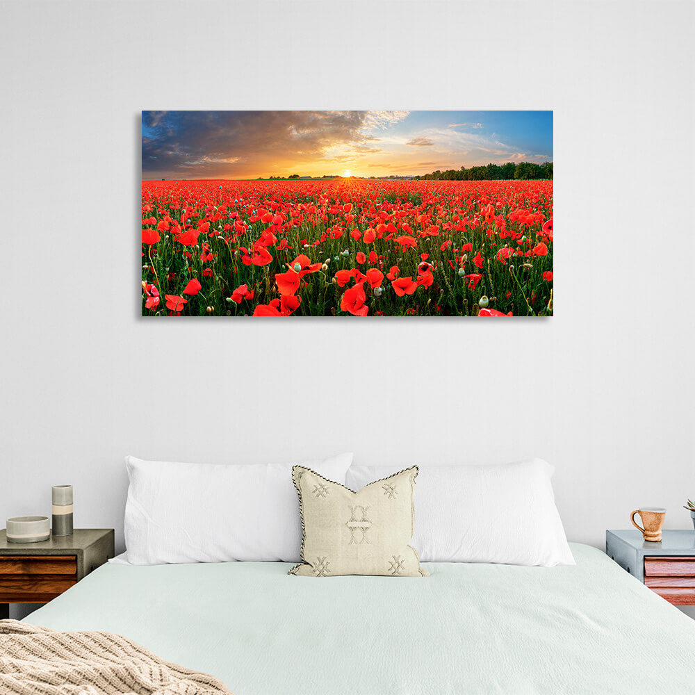 A field of red poppies at sunset Canvas Wall Art Print