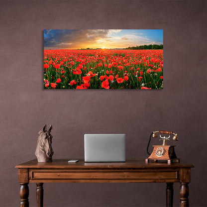 A field of red poppies at sunset Canvas Wall Art Print