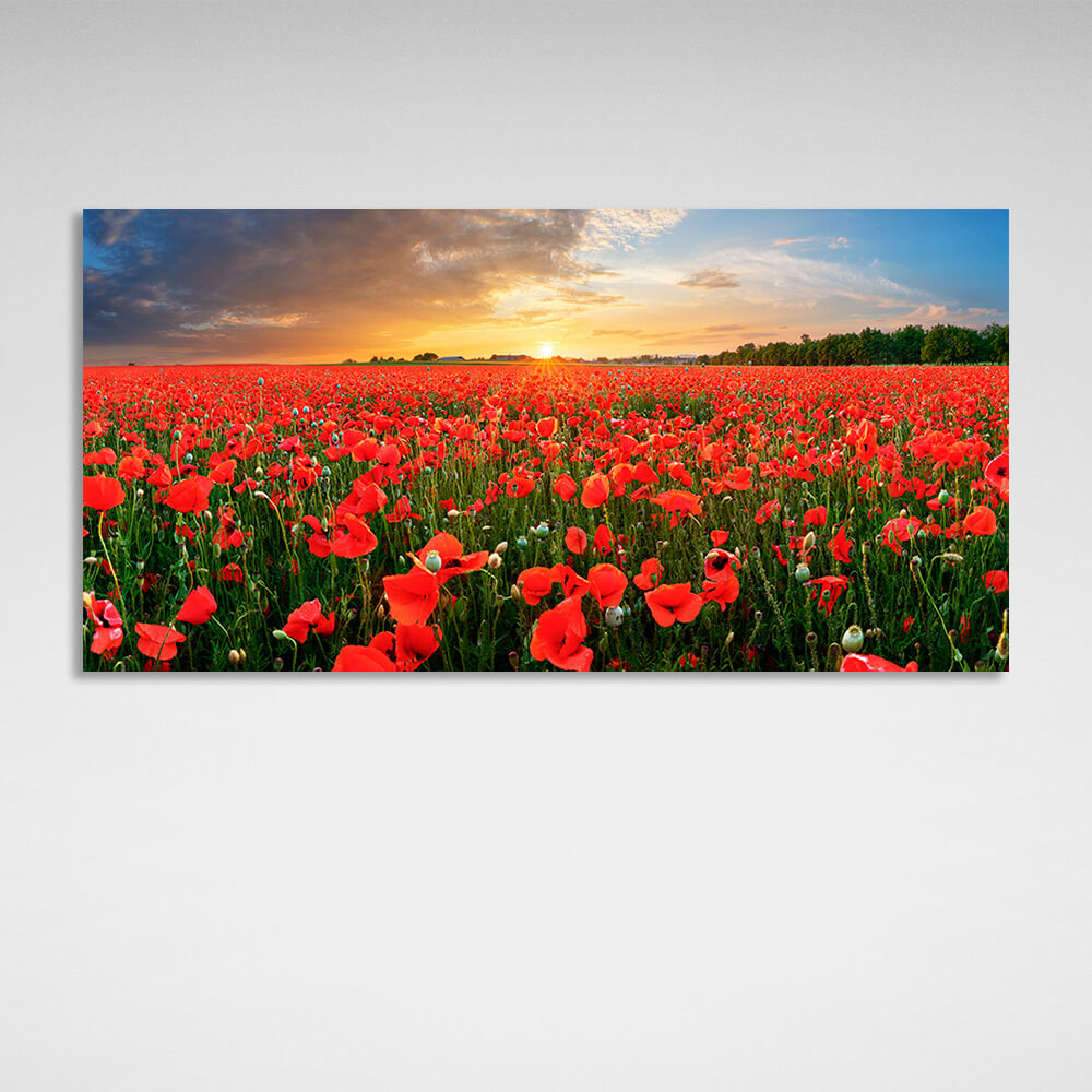 A field of red poppies at sunset Canvas Wall Art Print