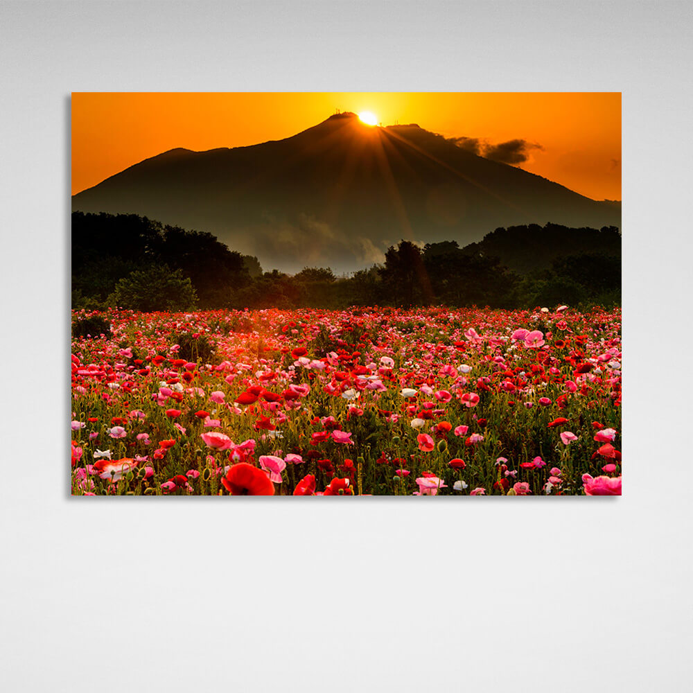 A field of poppies against a background of forest, mountains and sunset Canvas Wall Art Print