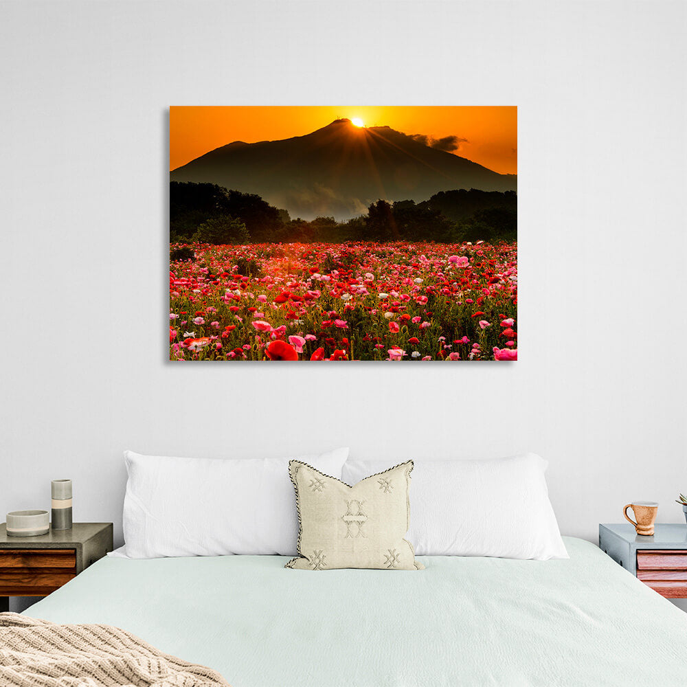 A field of poppies against a background of forest, mountains and sunset Canvas Wall Art Print