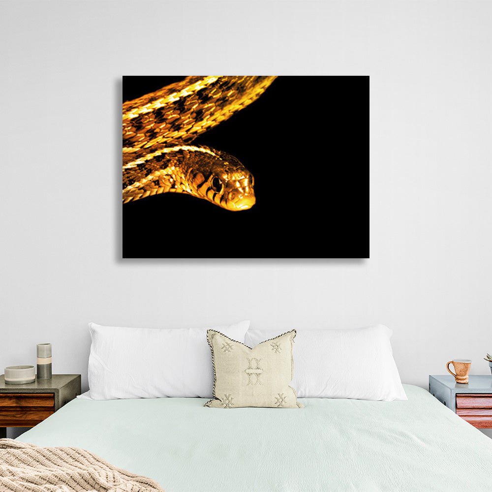 Golden snake Canvas Wall Art Print