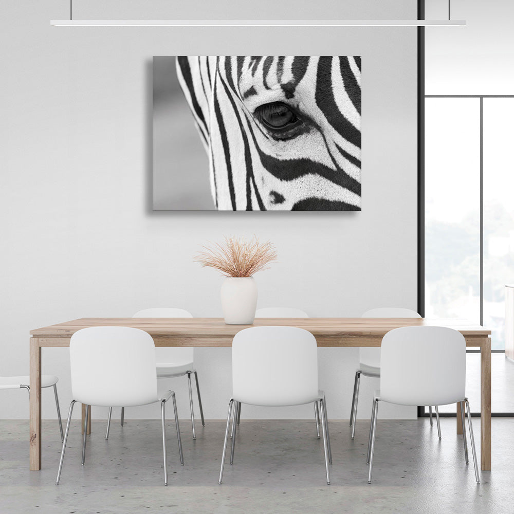 Zebra on a gray background Canvas Wall Art Print