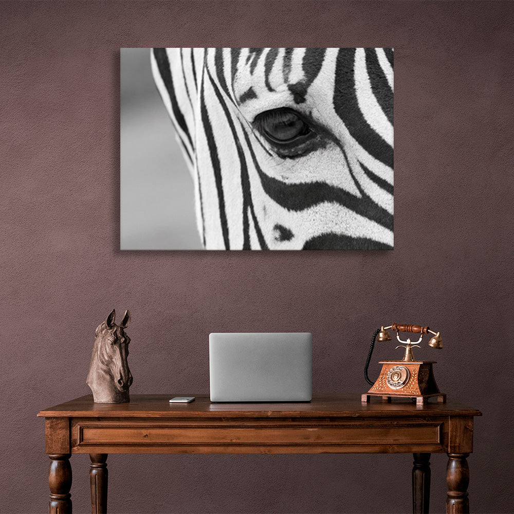 Zebra on a gray background Canvas Wall Art Print