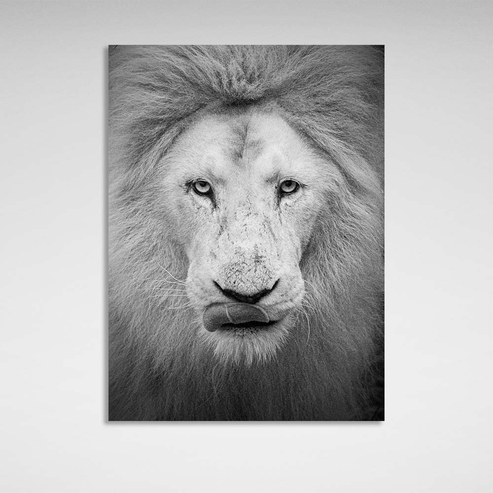 White lion Canvas Wall Art Print