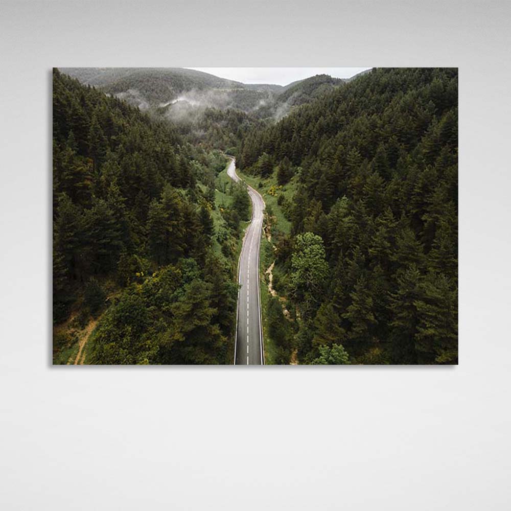 Canvas Wall Art Print Road through the misty forest